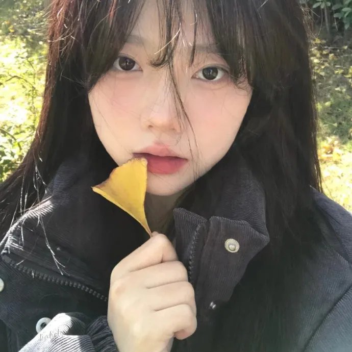 在巨大的洋葱之下